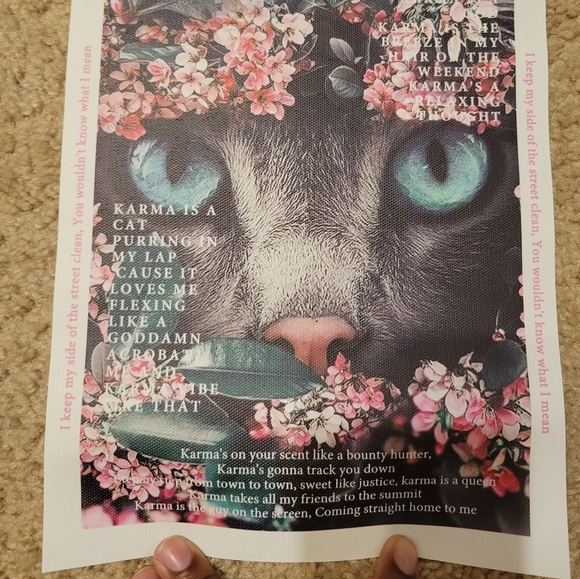 ๐5 for $25/Taylor Swift-Inspired Canvas Poster - Picture 2 of 2